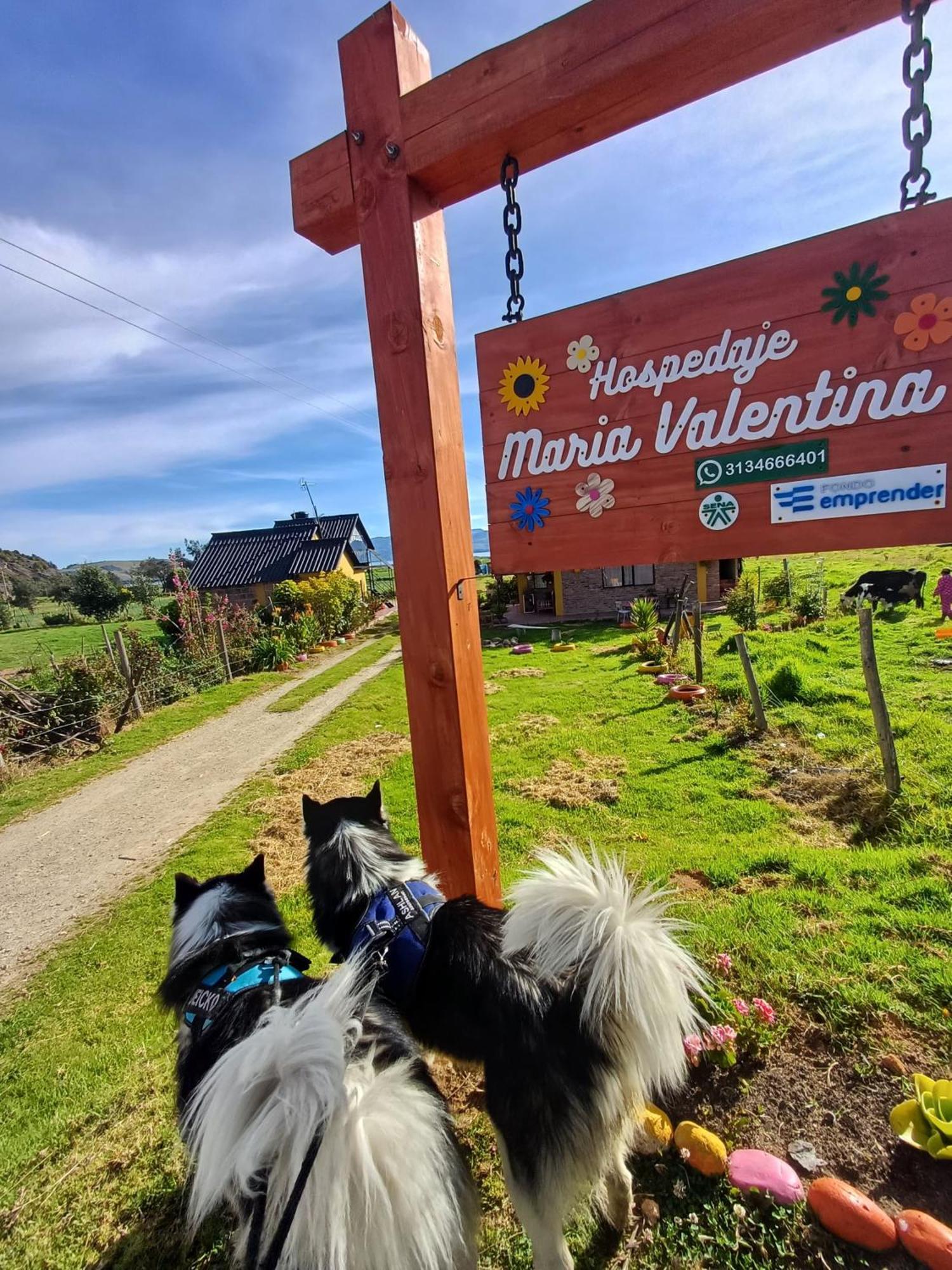 Hospedaje Maria Valentina Тота Екстер'єр фото